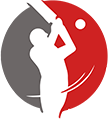 Fantasy Cricket Script